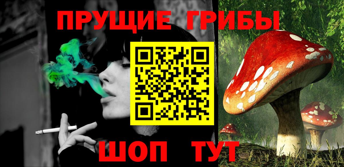Сочи  Псилоцибиновые грибы мицелий  Вход с VPN 